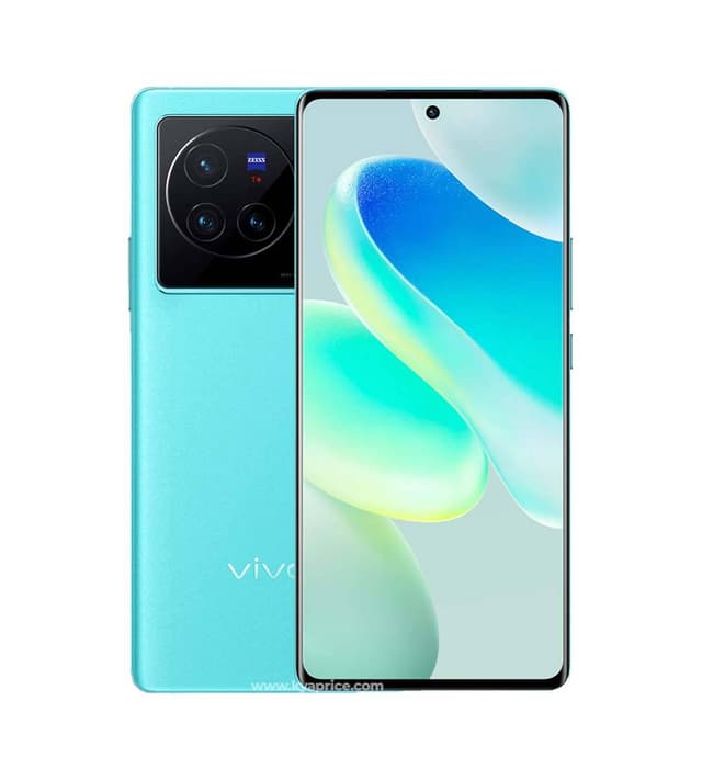 Vivo X80